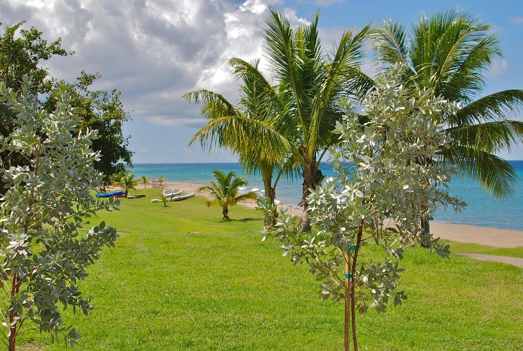 Zenith Nevis Villa Bilik gambar